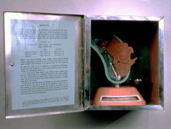 1994 Med Ser EyeballWeights