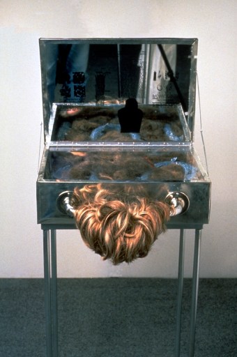 1994 Med Ser HairDifferentiation