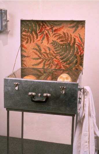 1994 Med Ser SkullDimensions