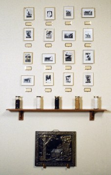 1995 LyingWithTheLand1_wh