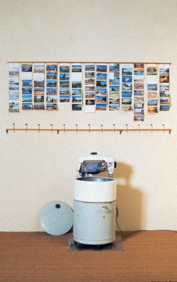 1995 Moree-GeneticPool_wh