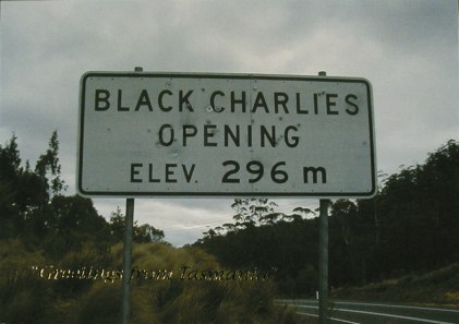 2000 Driving Black Charlies