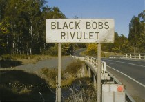 2000 Driving BlackBobs