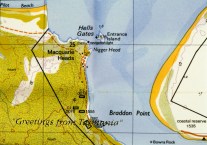 2000 Driving.NiggerHead