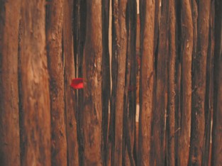 2001 chase.stix.redfabric copy 1