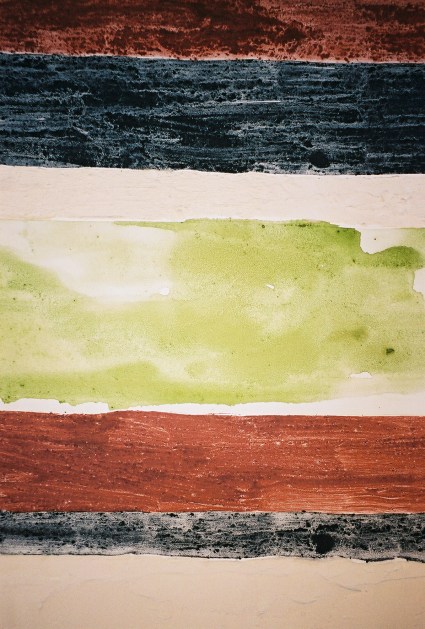 2003 intertidal_detail