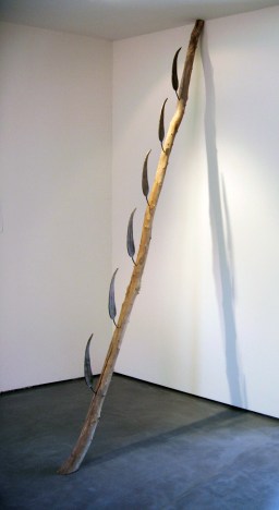 2005 regeneration indoors_wh