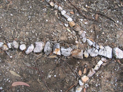 2005 REGENERATION outdoor detail150