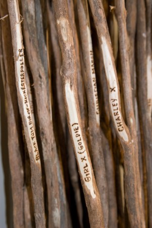 2008 some aboriginal children detail fugitive history