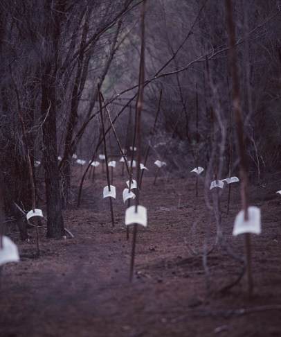 2008 some words friendly gough 02 a SIMON cuthbert