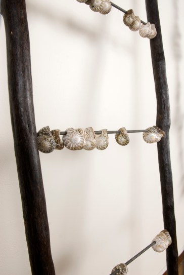 2008 the missing FUGITIVE HISTORY  detail