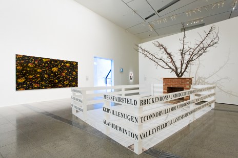 2009 Forcefield d ngv