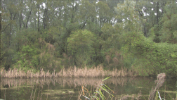 2010 attrition bay still 3