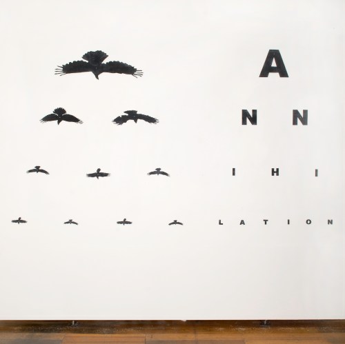 2011 murder of crows THE MISSING