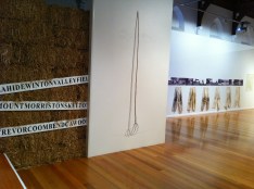 2011 rivers run HAY Dev