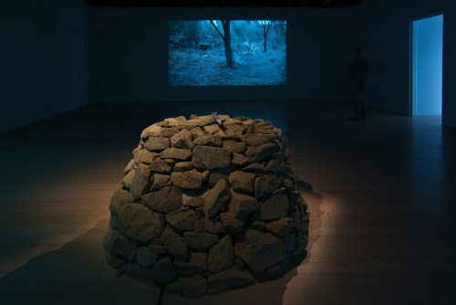 2013 Lost world 1 phot JAN DALLAS 12