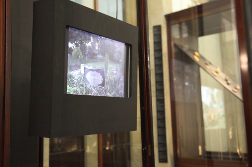 2013 LOST WORLD 2 UK phot Khadija Carroll 19