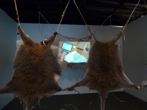 2013 TAHO LC347 P1010641